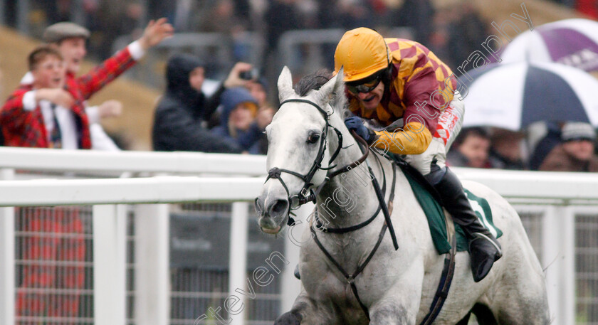 Ramses-De-Teillee-0007 
 RAMSES DE TEILLEE (Tom Scudamore) wins The Randox Health Novices Hurdle
Cheltenham 26 Oct 2019 - Pic Steven Cargill / Racingfotos.com