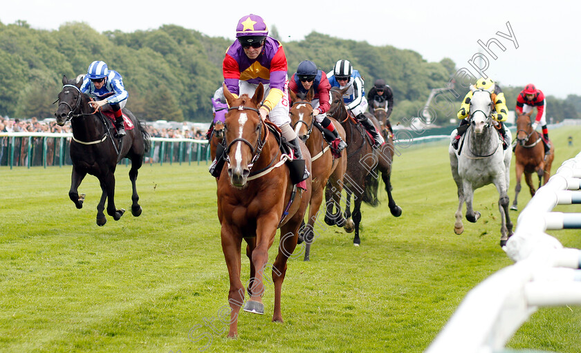 Lucky-Deal-0003 
 LUCKY DEAL (Franny Norton) wins The Amix Ready Mixed Concrete Handicap
Haydock 25 May 2019 - Pic Steven Cargill / Racingfotos.com