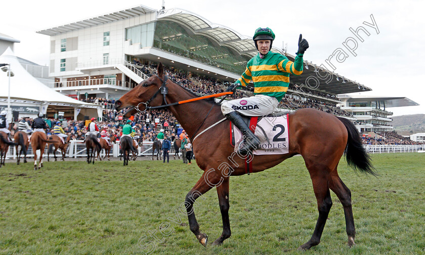 Aramax-0008 
 ARAMAX (Mark Walsh) after The Boodles Juvenile Handicap Hurdle
Cheltenham 11 Mar 2020 - Pic Steven Cargill / Racingfotos.com