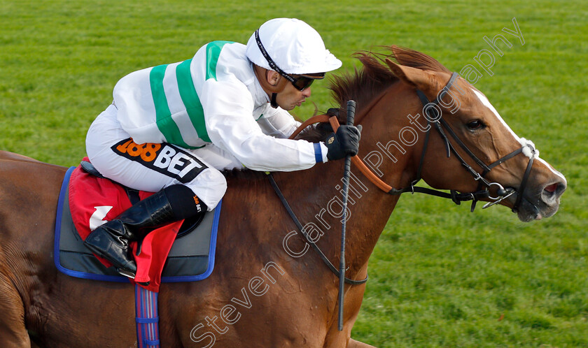 Akvavera-0006 
 AKVAVERA (Silvestre De Sousa) wins The Smarkets Betting Exchange Fillies Handicap
Sandown 19 Sep 2018 - Pic Steven Cargill / Racingfotos.com