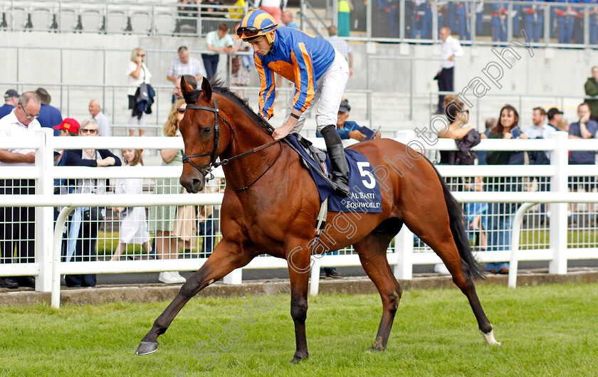 Aesop s-Fables-0002 
 AESOP'S FABLES (Ryan Moore)
The Curragh 10 Sep 2023 - Pic Steven Cargill / Racingfotos.com