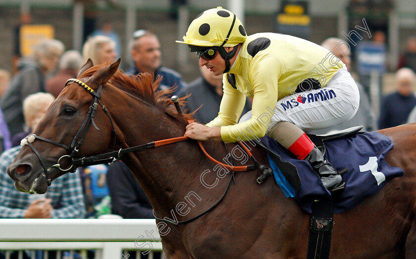 Zabeel-Prince-0006 
 ZABEEL PRINCE (Andrea Atzeni) wins The Sea-Deer Handicap Yarmouth 20 Sep 2017 - Pic Steven Cargill