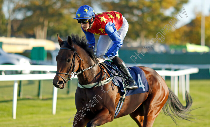 Coco-Hill-0006 
 COCO HILL (Ross Coakley) winner of The At The Races App Market Movers Nursery
Yarmouth 18 Oct 2022 - Pic Steven Cargill / Racingfotos.com