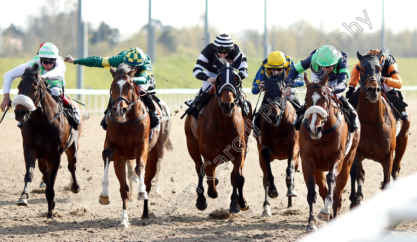 Lion-Hearted-0001 
 LION HEARTED (right, Mark Crehan) wins The Bet totetrifecta At totesport.com Handicap
Chelmsford 11 Apr 2019 - Pic Steven Cargill / Racingfotos.com