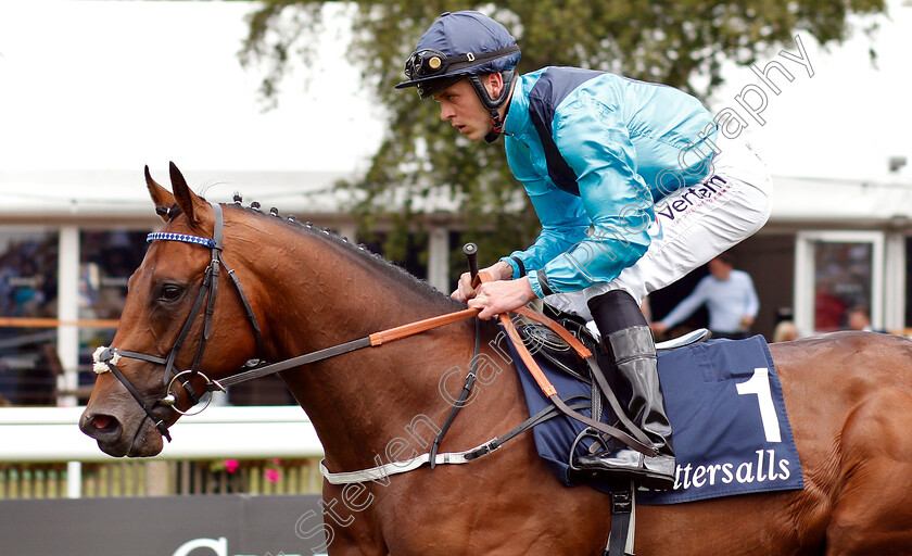 Classy-Moon-0001 
 CLASSY MOON (Clifford Lee)
Newmarket 11 Jul 2019 - Pic Steven Cargill / Racingfotos.com