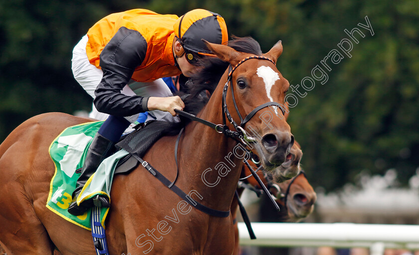 Arabian-Dusk-0001 
 ARABIAN DUSK (Harry Davies) wins The Duchess Of Cambridge Stakes
Newmarket 12 Jul 2024 - pic Steven Cargill / Racingfotos.com