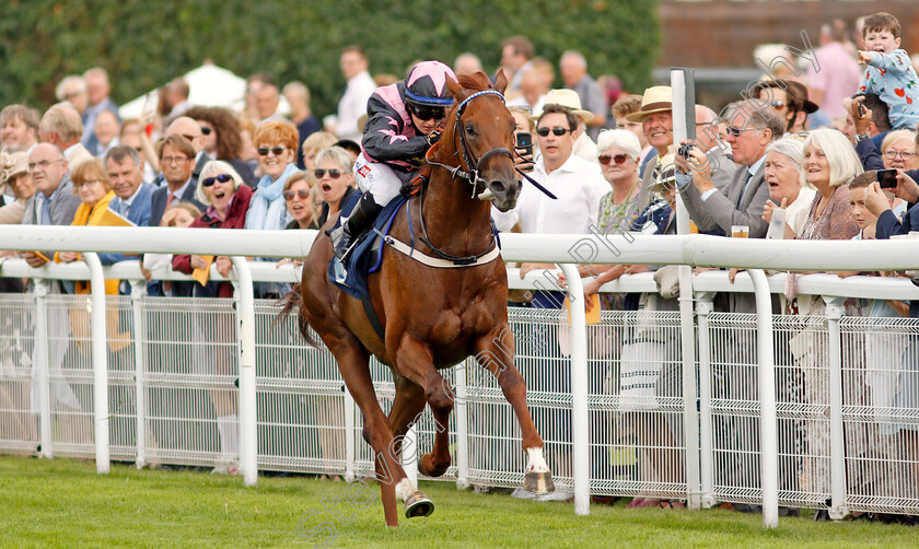 Sisters-In-The-Sky-0002 
 SISTERS IN THE SKY (Hollie Doyle) wins The British Stallion Studs EBF Maiden Stakes
Goodwood 27 Jul 2021 - Pic Steven Cargill / Racingfotos.com