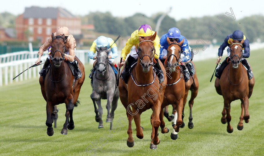 Sea-Of-Class-0003 
 SEA OF CLASS (James Doyle) beats MRS SIPPY (left) in The Johnnie Lewis Memorial British EBF Stakes 
Newbury 14 Jun 2018 - Pic Steven Cargill / Racingfotos.com