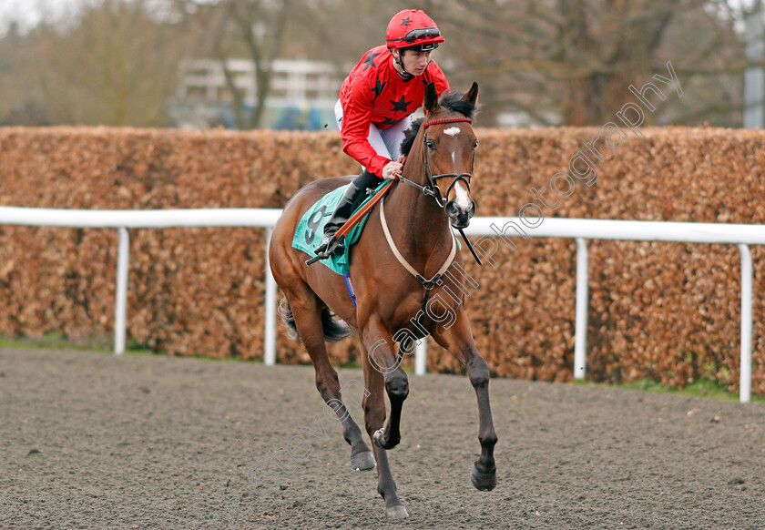 Luchador-0001 
 LUCHADOR (Oisin Murphy) Kempton 7 Apr 2018 - Pic Steven Cargill / Racingfotos.com