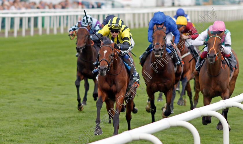 Eldar-Eldarov-0008 
 ELDAR ELDAROV (David Egan) wins The Cazoo St Leger Stakes
Doncaster 11 Sep 2022 - Pic Steven Cargill / Racingfotos.com