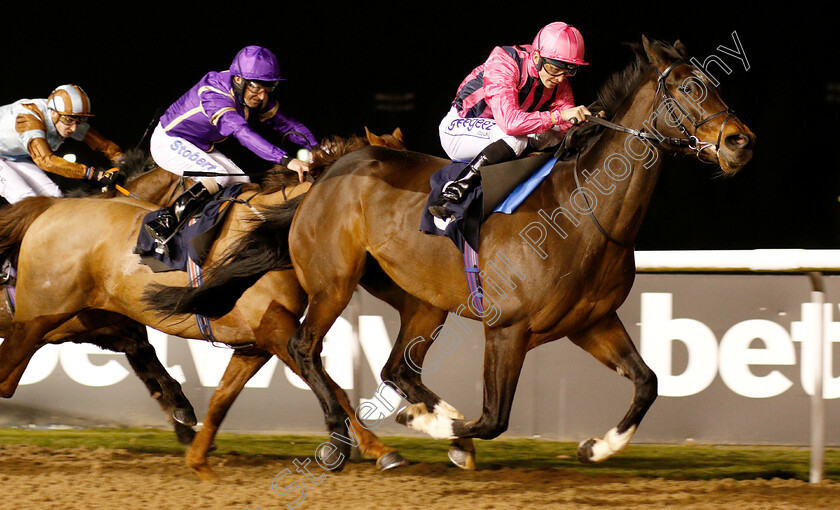 Swiss-Storm-0005 
 SWISS STORM (David Probert) wins The Betway Handicap
Wolverhampton 26 Feb 2019 - Pic Steven Cargill / Racingfotos.com