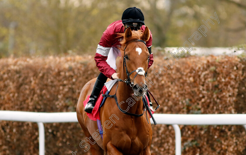 Achernar-0002 
 ACHERNAR (Harry Davies)
Kempton 3 Apr 2024 - Pic Steven Cargill / Racingfotos.com