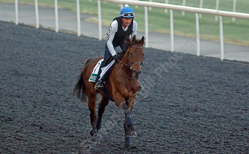 Hukum-0002 
 HUKUM training for the Sheema Classic
Meydan, Dubai, 22 Mar 2022 - Pic Steven Cargill / Racingfotos.com