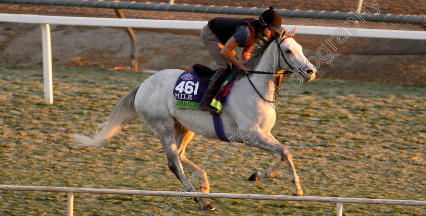 Lord-Glitters-0001 
 LORD GLITTERS training for The Breeders' Cup Mile
Santa Anita USA 31 Oct 2019 - Pic Steven Cargill / Racingfotos.com