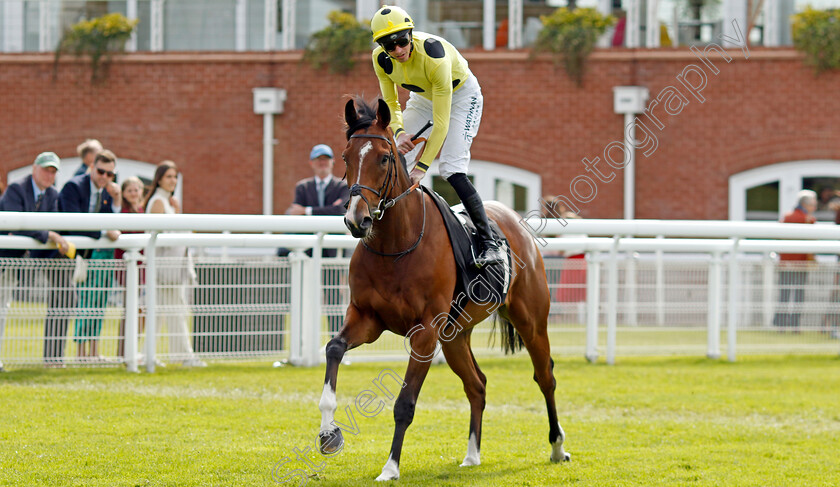 Aimeric-0001 
 AIMERIC (James Doyle)
Goodwood 9 Jun 2024 - Pic Steven Cargill / Racingfotos.com