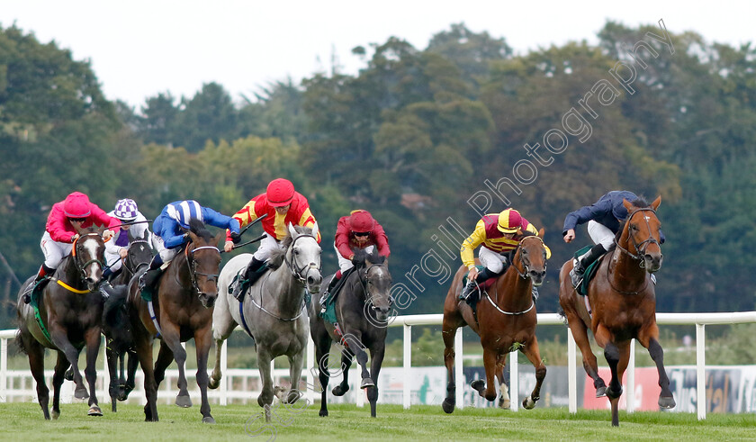 Adelaide-River-0004 
 ADELAIDE RIVER (right, Ryan Moore) beats AL AASY (2nd left) and LAYFAYETTE (left) in The Paddy Power Stakes
Leopardstown 9 Sep 2023 - Pic Steven Cargill / Racingfotos.com