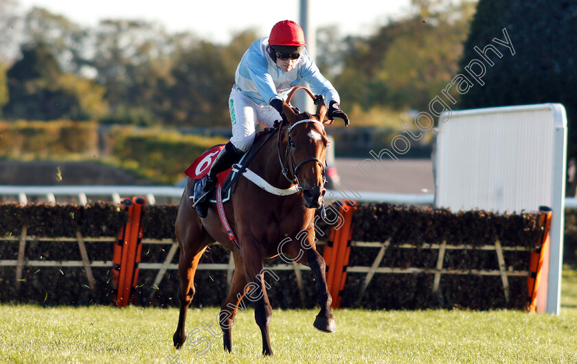 Verdana-Blue-0006 
 VERDANA BLUE (Nico De Boinville) wins The Matchbook VIP Hurdle
Kempton 21 Oct 2018 - Pic Steven Cargill / Racingfotos.com