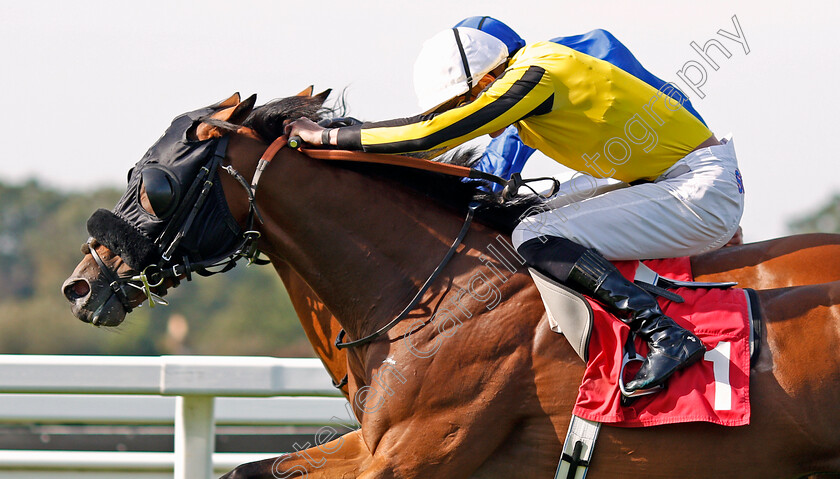 Lyndon-B-0006 
 LYNDON B (James Doyle) wins The Play 4 To Score At Betway Handicap
Sandown 30 Aug 2019 - Pic Steven Cargill / Racingfotos.com