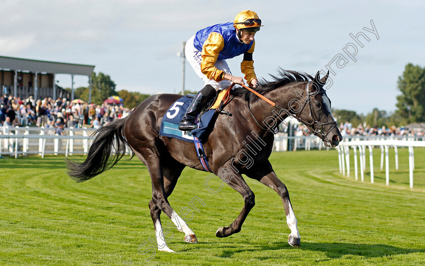 Ville-De-Grace-0001 
 VILLE DE GRACE (Ryan Moore)
Yarmouth 14 Sep 2022 - Pic Steven Cargill / Racingfotos.com