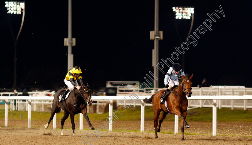 Fantail-0004 
 FANTAIL (Joe Fanning) beats ISLAND HIDEAWAY (left) in The Bet totetrifecta At totesport.com EBF Fillies Novice Stakes
Chelmsford 19 Nov 2019 - Pic Steven Cargill / Racingfotos.com