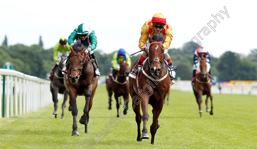 Gold-Mount-0005 
 GOLD MOUNT (Andrea Atzeni) wins The Sky Bet Race To The Ebor Grand Cup
York 15 Jun 2019 - Pic Steven Cargill / Racingfotos.com