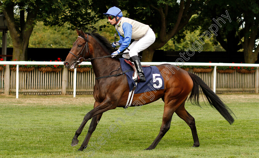 Floria-Tosca-0001 
 FLORIA TOSCA (Gerald Mosse)
Newmarket 20 Jul 2018 - Pic Steven Cargill / Racingfotos.com