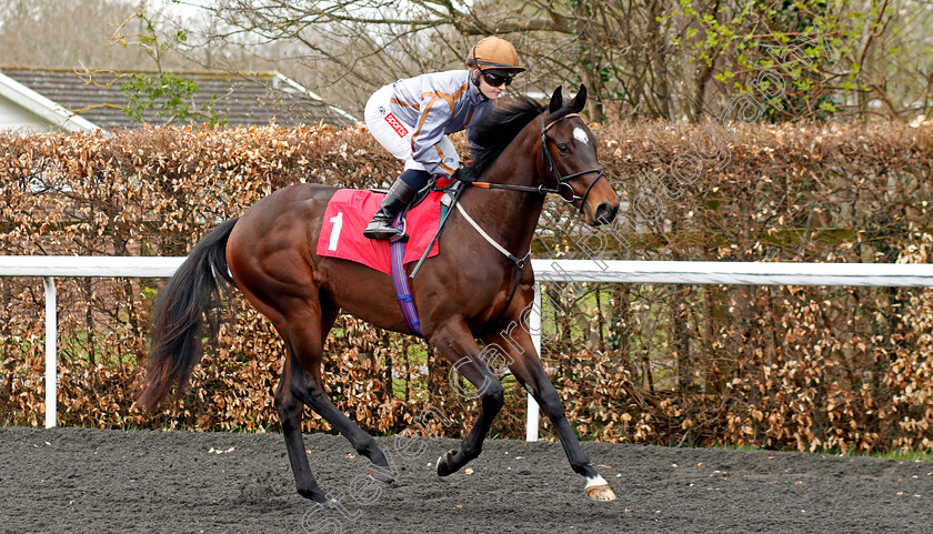 Action-Point-0006 
 ACTION POINT (Hollie Doyle) wins The Racing TV/EBF Restricted Novice Stakes
Kempton 10 Apr 2023 - Pic Steven Cargill / Racingfotos.com