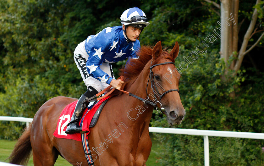 Nette-Rousse-0001 
 NETTE ROUSSE (Harry Bentley)
Sandown 30 May 2019 - Pic Steven Cargill / Racingfotos.com