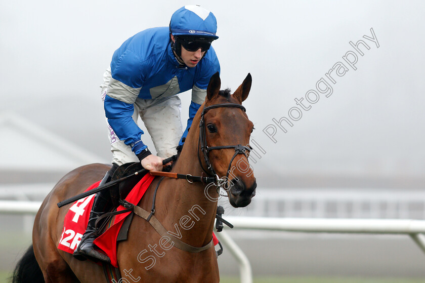 Maria s-Benefit-0001 
 MARIA'S BENEFIT (Ciaran Gethings)
Kempton 27 Dec 2018 - Pic Steven Cargill / Racingfotos.com