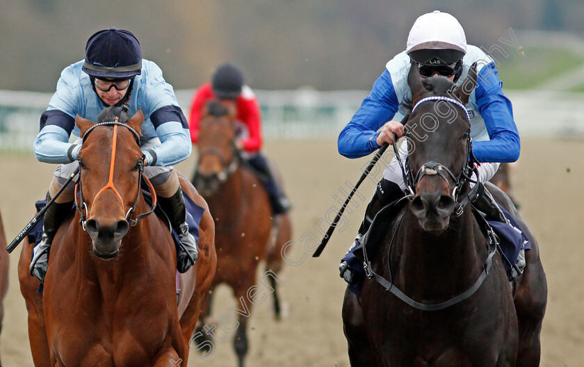 Sir-Edward-Elgar-0008 
 SIR EDWARD ELGAR (right, Robert Havlin) beats HOST (left) in The Bombardier British Hopped Amber Beer Maiden Stakes
Lingfield 27 Jan 2021 - Pic Steven Cargill / Racingfotos.com