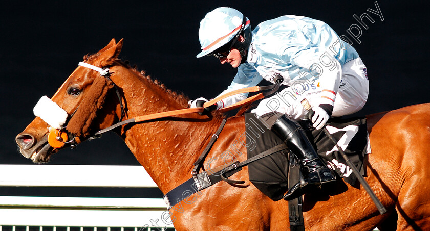 Another-Venture-0008 
 ANOTHER VENTURE (Mikey Hamill) Ascot 17 Feb 2018 - Pic Steven Cargill / Racingfotos.com