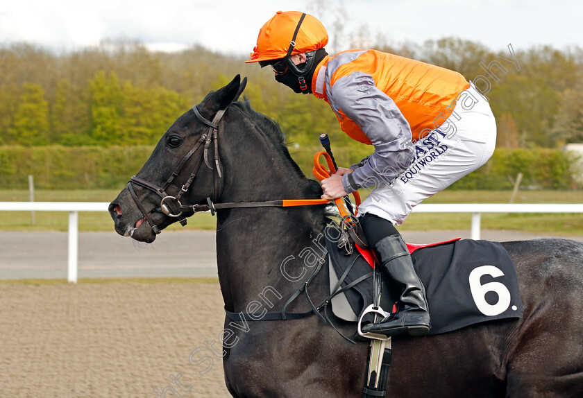 Lady-Fanfare-0001 
 LADY FANFARE (Jack Mitchell)
Chelmsford 29 Apr 2021 - Pic Steven Cargill / Racingfotos.com