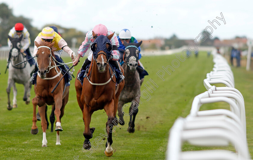 Bellstreet-Bridie-0003 
 BELLSTREET BRIDIE (Ryan Moore) wins The British EBF Premier Fillies Handicap
Yarmouth 15 Sep 2022 - Pic Steven Cargill / Racingfotos.com