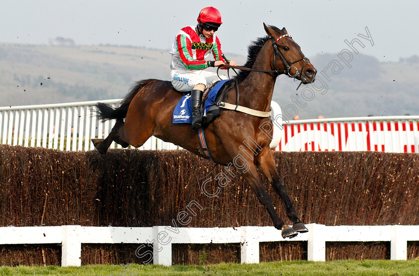 Henryville-0001 
 HENRYVILLE (Sean Bowen)
Cheltenham 17 Apr 2019 - Pic Steven Cargill / Racingfotos.com