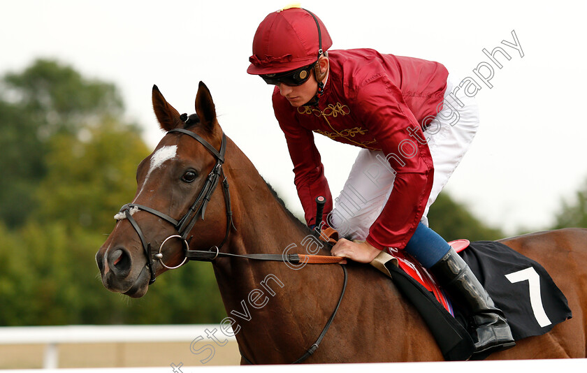 Reconnaissance-0001 
 RECONNAISSANCE (Rob Hornby)
Chelmsford 24 Jul 2018 - Pic Steven Cargill / Racingfotos.com