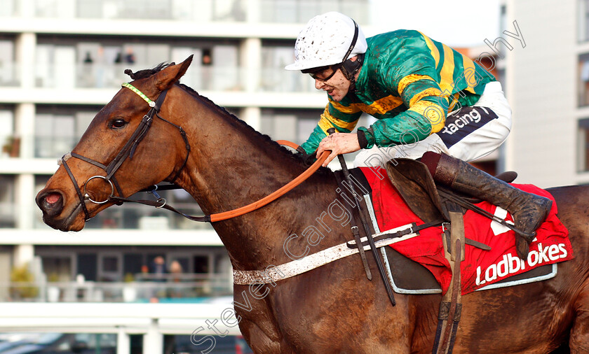 Champ-0003 
 CHAMP (Aidan Coleman) wins The Ladbrokes Handicap Hurdle
Newbury 1 Dec 2018 - Pic Steven Cargill / Racingfotos.com