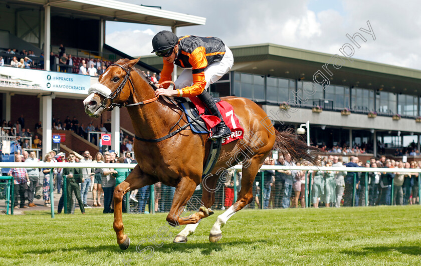 Raasel-0005 
 RAASEL (James Doyle) wins The Betfred Nifty Fifty Achilles Stakes
Haydock 28 May 2022 - Pic Steven Cargill / Racingfotos.com