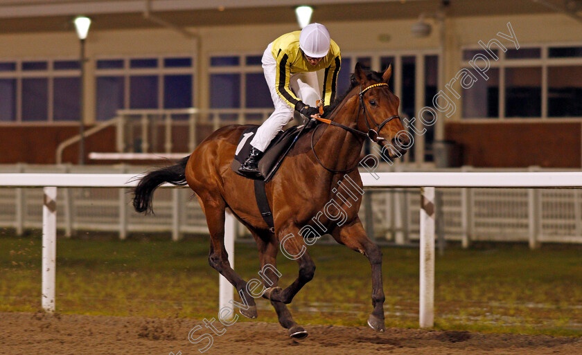 Father-Of-Jazz-0007 
 FATHER OF JAZZ (Callum Shepherd) wins The Racing Welfare Novice Stakes
Chelmsford 14 Jan 2021 - Pic Steven Cargill / Racingfotos.com