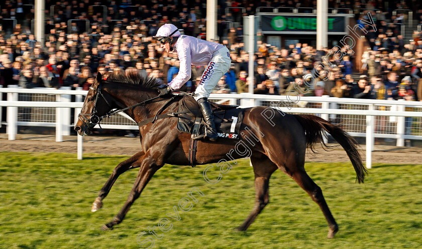 North-Hill-Harvey-0002 
 NORTH HILL HARVEY (Harry Skelton) wins The Racing Post Arkle Trophy Trial Novices Chase Cheltenham 19 Nov 2017 - Pic Steven Cargill / Racingfotos.com