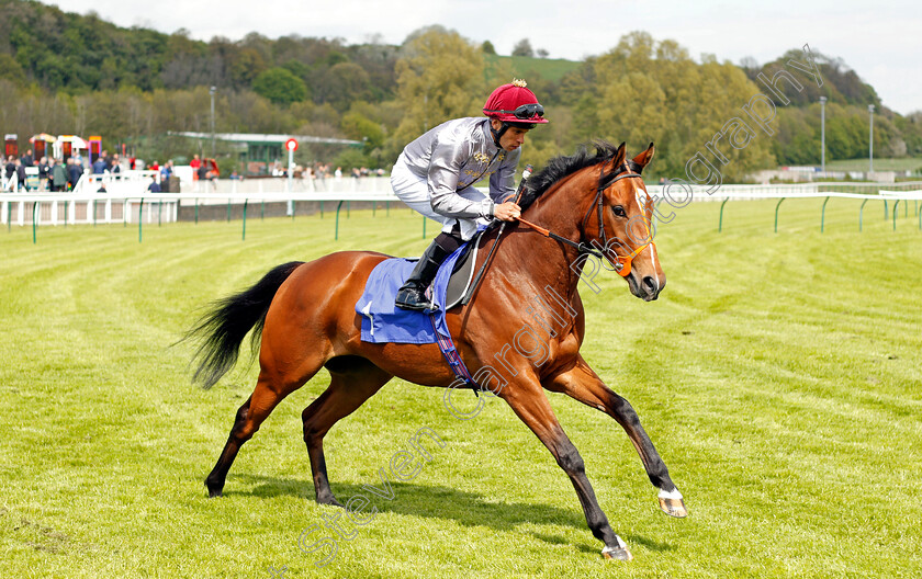 Mushtaq-0001 
 MUSHTAQ (Sean Levey) Nottingham 1 May 2018 - Pic Steven Cargill / Racingfotos.com