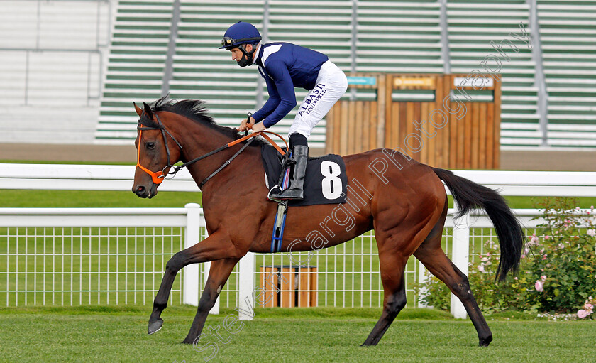 Mohawk-King-0002 
 MOHAWK KING (Pat Dobbs) before winning The Anders Foundation British EBF Crocker Bulteel Maiden Stakes
Ascot 25 Jul 2020 - Pic Steven Cargill / Racingfotos.com