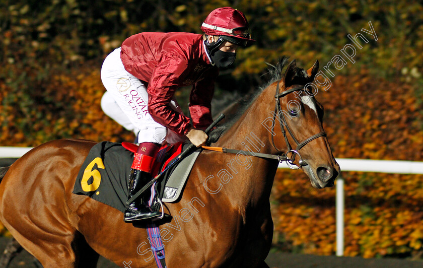 Enjoy-0001 
 ENJOY (Cieren Fallon)
Kempton 11 Nov 2020 - Pic Steven Cargill / Racingfotos.com