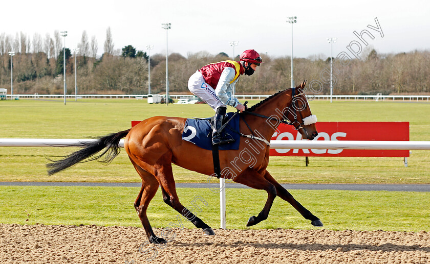 Elakazaam-0001 
 ELAKAZAAM (Clifford Lee)
Wolverhampton 13 Mar 2021 - Pic Steven Cargill / Racingfotos.com