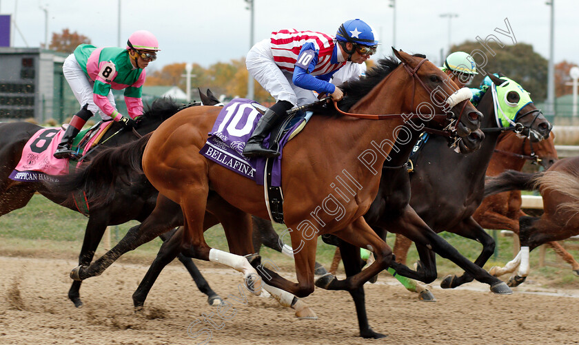 Bellafina-0001 
 BELLAFINA (Flavien Prat)
Churchill Downs 2 Nov 2018 - Pic Steven Cargill / Racingfotos.com