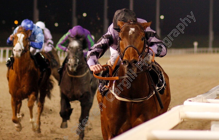 Asdaa-0006 
 ASDAA (Joe Fanning) wins The Bet toteexacta At totesport.com Handicap
Chelmsford 11 Jan 2020 - Pic Steven Cargill / Racingfotos.com