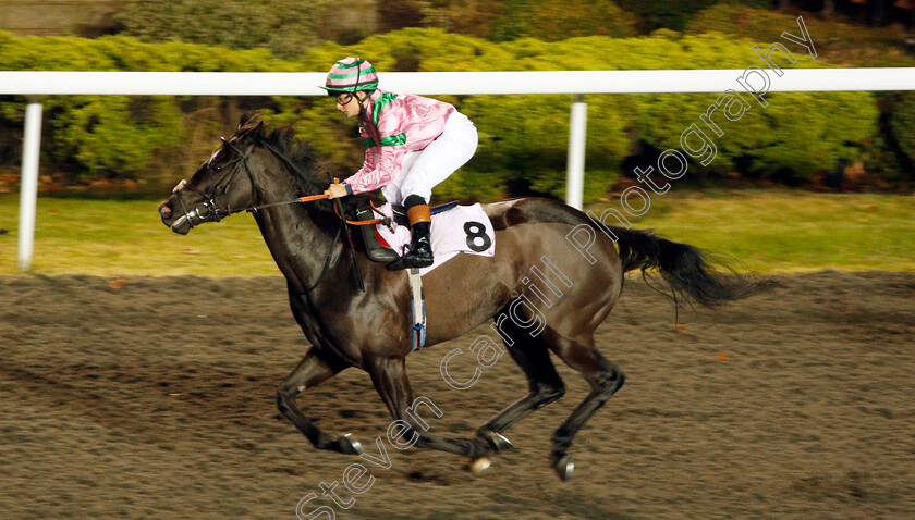 Cool-Breeze-0003 
 COOL BREEZE (Milly Naseb) wins The 32Red Casino Fillies Handicap Kempton 20 Dec 2017 - Pic Steven Cargill / Racingfotos.com