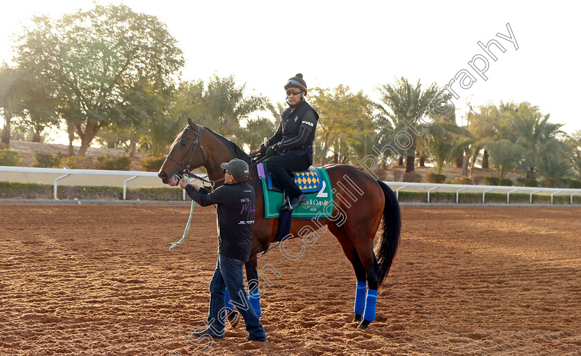 Country-Grammer-0002 
 COUNTRY GRAMMER training for the Saudi Cup
King Abdulaziz Racecourse, Kingdom Of Saudi Arabia, 23 Feb 2023 - Pic Steven Cargill / Racingfotos.com