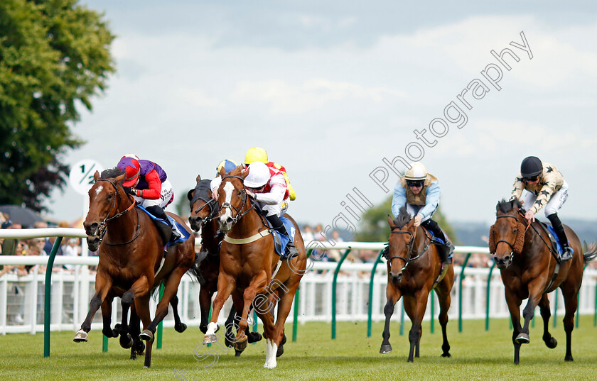 Pumalin-Park-0005 
 PUMALIN PARK (left, Saffie Osborne) beats SNUGGLE (2nd left) in The George Jeffery Memorial Handicap
Salisbury 16 Jun 2024 - pic Steven Cargill / Racingfotos.com