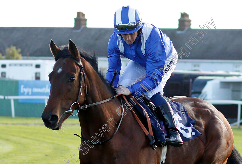 Khafooq-0001 
 KHAFOOQ (Jim Crowley)
Yarmouth 23 Oct 2018 - Pic Steven Cargill / Racingfotos.com