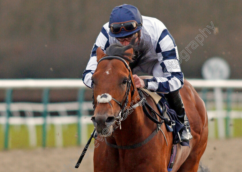 El-Ghazwani-0004 
 EL GHAZWANI (James Doyle) wins The Betway Handicap
Lingfield 18 Dec 2019 - Pic Steven Cargill / Racingfotos.com